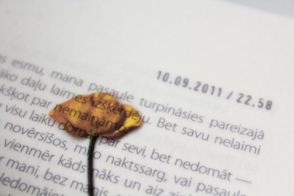 Czerwony mak z filcu DIY: jak zrobić broszkę patriotyczną krok po kroku?